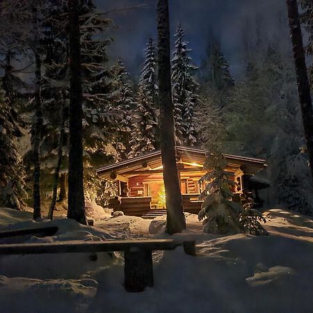Hawkhill Cottage Resort Tervalampi Buitenkant foto