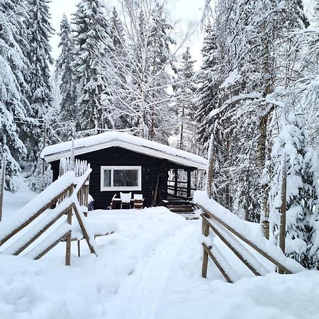 Hawkhill Cottage Resort Tervalampi Buitenkant foto